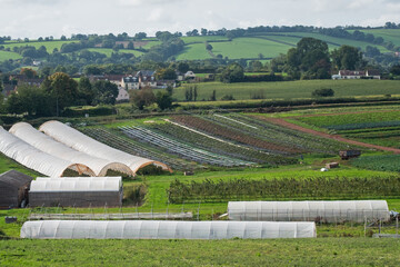 Low-height polytunnels