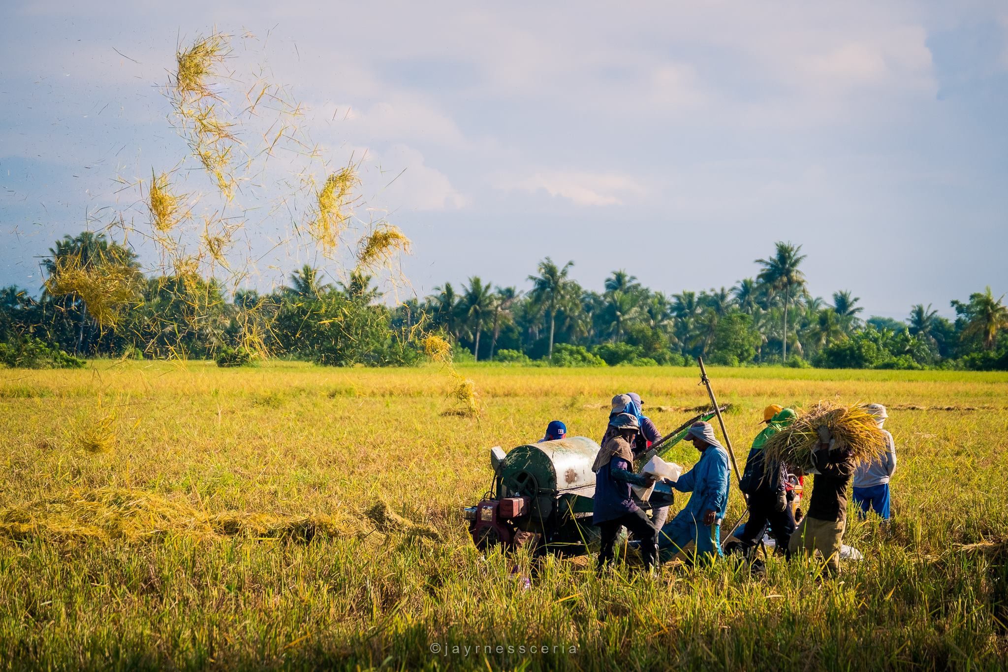 kid running towards windmill through green paddy field