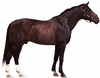 Hanoverian